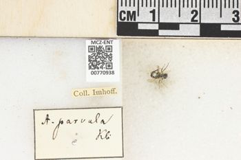 Media type: image;   Entomology 770938 Aspect: Labels